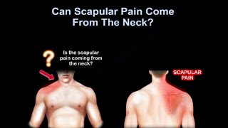 Cervical Spine Nerve Root Exam  Everything You Need To Know  Dr Nabil Ebraheim [upl. by Coffin707]