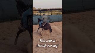 Come along for a day with the horses cwelitecowhorses horse cattle GloryToGod work training [upl. by Peppy]