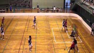 JAPAN FLOORBALL LEAGUE 2010 ZORRO SHOOT [upl. by Ylle77]