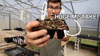 This Transplanting Tip BLEW MY MIND and Saved Me From Killing Plants [upl. by Llener703]