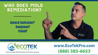 Who Does Mold Remediation  Who To Hire For Mold Removal [upl. by Livvyy]