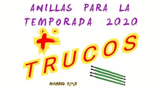 Cria de canarios 2020 para principiantes Anillas de año 2020 y TRUCOS  Interesante Aviario PMR [upl. by Ley]