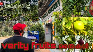 Verity Fruits തൈകൾ വില കുറവിൽ  Trivandrum  malayalam  Green’s nursery Amaravila [upl. by Aig]