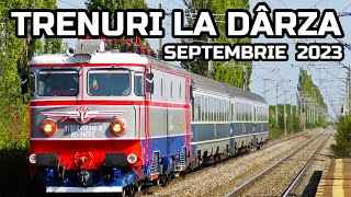 80 de trenuri in 30 de minute la DarzaAutumn trainspotting in Wallachia [upl. by Bazluke]