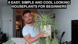 EASY HOUSE PLANTS FOR BEGINNERS [upl. by Laith847]