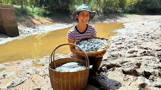 Tempo de seca fizemos a limpeza ecológica do açude e garantimos peixes para muitos dias [upl. by Einon]