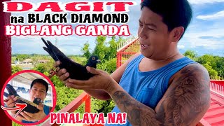 EP696  GANDANG DAGIT NITO PARANG BLACK DIAMOND PERO PALAYAIN NA NATEN [upl. by Niletak]