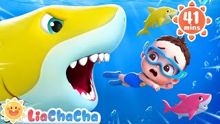 Baby Sharks in the Water  Ten Little Sharks  Number Song  Kids Songs amp Nursery Rhymes  LiaChaCha [upl. by Burdelle]