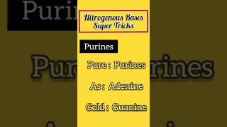 Purines And Pyrimidines Tricks [upl. by Ramsa]