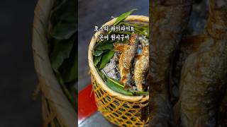 교토 여행 최고급 호텔의 값비싼 미식 디너 [upl. by Aleris113]