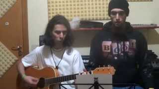 Heidevolk  Vulgaris Magistralis Acoustic Cover [upl. by Eiramyllek]