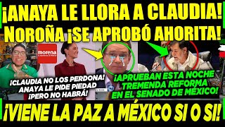 MIÉRCOLES ¡ANAYA PIDE PIEDAD A CLAUDIA NOROÑA ¡APROBADO PAZ EN MÉXICO ¡SI O SI A LA FUERZA [upl. by Gawlas946]