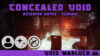 Void Warlock Flawless Concealed Void  No Weapons [upl. by Assirrem134]