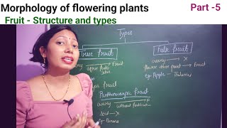 Fruit structure and types  Class 11 biology CH 5NCERT  NEETbiology neet [upl. by Anayrb808]