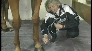 Mary Bromiley Respond Laser and PEMF Equine Physiotherapist [upl. by Orapma]