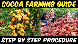 Cocoa Farming  Cocoa Cultivation  Complete Guide  Cocoa Beans Sowing  Cocoa Harvesting [upl. by Clayson]