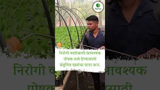 यशस्वी G9 केळी शेतीसाठी महत्त्वाच्या टिप्स🌱 G9BananaFarming NamoBioplants Tissuecultureplants [upl. by Orelia]