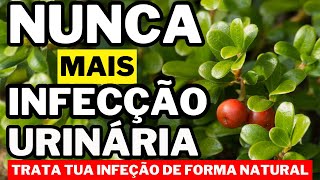 RECEITAS NATURAIS PARA CURAR INFECÇÃO URINÁRIA [upl. by Katherine]