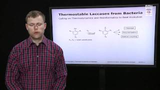 Thermostable Laccases from Bacteria [upl. by Audrie]