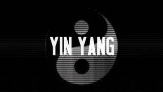 USS  Yin Yang OFFICIAL LYRIC VIDEO [upl. by Aleta]