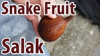 Exotic Fruit Salak  Snake Fruit [upl. by Bowers]