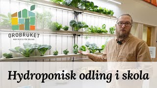 Hydroponisk odling på skola  Grobruket [upl. by Janella]