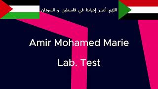 Standard Compaction Test  Laboratory Test  Proctor Test شرح اختبار بروكتور  الاختبار المعملي [upl. by Adaha476]