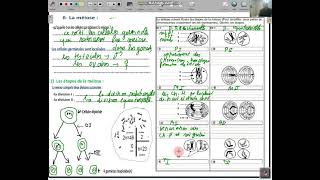 svttransfert de linformation genetique par reproduction sexué les etapes de la meiose [upl. by Nitsirc]