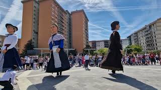 gigantes de ansoain  día del euskera [upl. by Alec933]