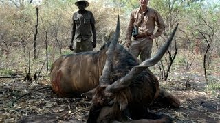 LORD DERBY ELAND HUNTING Chasse in CENTRAL AFRICA by Seladang [upl. by Funda]