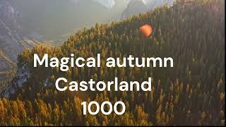 Puzzle Time Lapse Magical autumn Castorland 1000 [upl. by Kristof672]