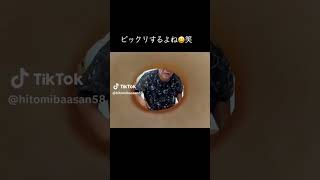 ひとみ婆さん Tiktok ver259 [upl. by Enilorak]