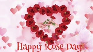 🌹Special Rose Day Status  Happy Rose Day Whatsapp Status Video  Valentines Day  Love ❤️ Heart ❤️ [upl. by Maurilia]