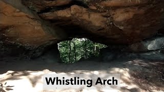 Whistling Arch l Red River Gorge [upl. by Dnomde]