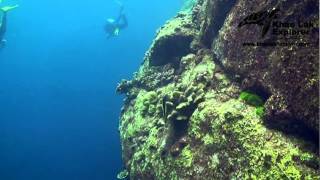 Deep Six Dive Site Similan islands  with Khao Lak Explore Dive Center [upl. by Potash291]