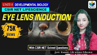 EYE LENS FORMATION  EYE LENS INDUCTION  CSIR NET DEVELOPMENTAL BIOLOGY [upl. by Norah]