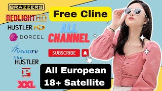 How To Create Free Cccam cline Panel  All Satellite Cline Videocon d2h All HD SD Adult 18 Channel [upl. by Uzzi]