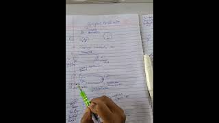 syncytial specifications lecture 11 [upl. by Dilahk596]