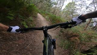 2019 Norco Range A2 Enduro Quick First Ride [upl. by Carlos66]