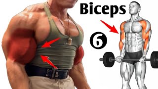 6 Best Exercises To Get Big Biceps Workout Gym  Bicep Workout [upl. by Arriaes]