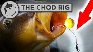 How To Tie A Chod Rig for Carp Fishing [upl. by Cinelli]