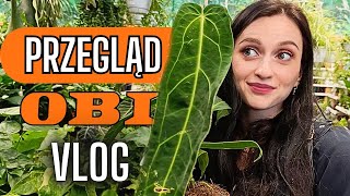 Przegląd roślin w OBI 🧡 Wybieramy drzwi🌿Roślinny VLOG 🌱 Gosia i Miłosz Vlog [upl. by Oicirbaf608]