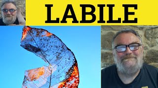 🔵 Labile Meaning  Labile Definition  Lability Examples  Formal Vocabulary  Labile  Lability [upl. by Arlana705]