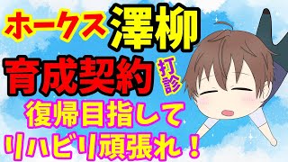 【ホークス】澤柳亮太郎、戦力外で育成打診！分かってた！復帰目指して頑張ってください！【野球】 [upl. by Pamella]