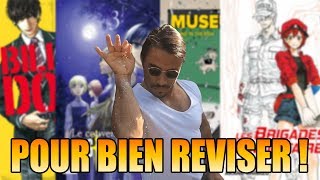 MES MANGAS POUR LES REVISIONS [upl. by Tnirb]