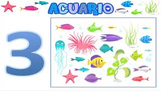 ACUARIO Alicia Rodelgo [upl. by Vilma]