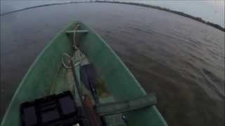 BATTUE AUX FOULQUES EN CAMARGUE GO PRO HERO 3 BLACK [upl. by Latnahc]