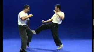 Tutorial Krav Maga Techniques [upl. by Edras]