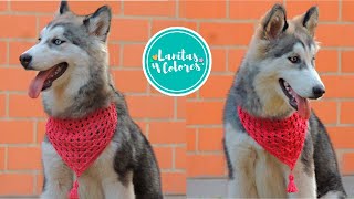 🐶❤ BELLA Bufanda triangular para MASCOTAS tejida a crochet  Lanitas y Colores [upl. by Agan]