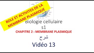 biologie cellulaire s1 vidéo 013  la membrane plasmique شرح [upl. by Natsud]